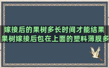 嫁接后的果树多长时间才能结果 果树嫁接后包在上面的塑料薄膜多长时间去掉合适